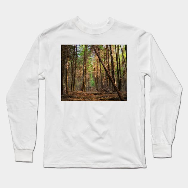 Larkins Hollow Long Sleeve T-Shirt by GeoffCarpenter